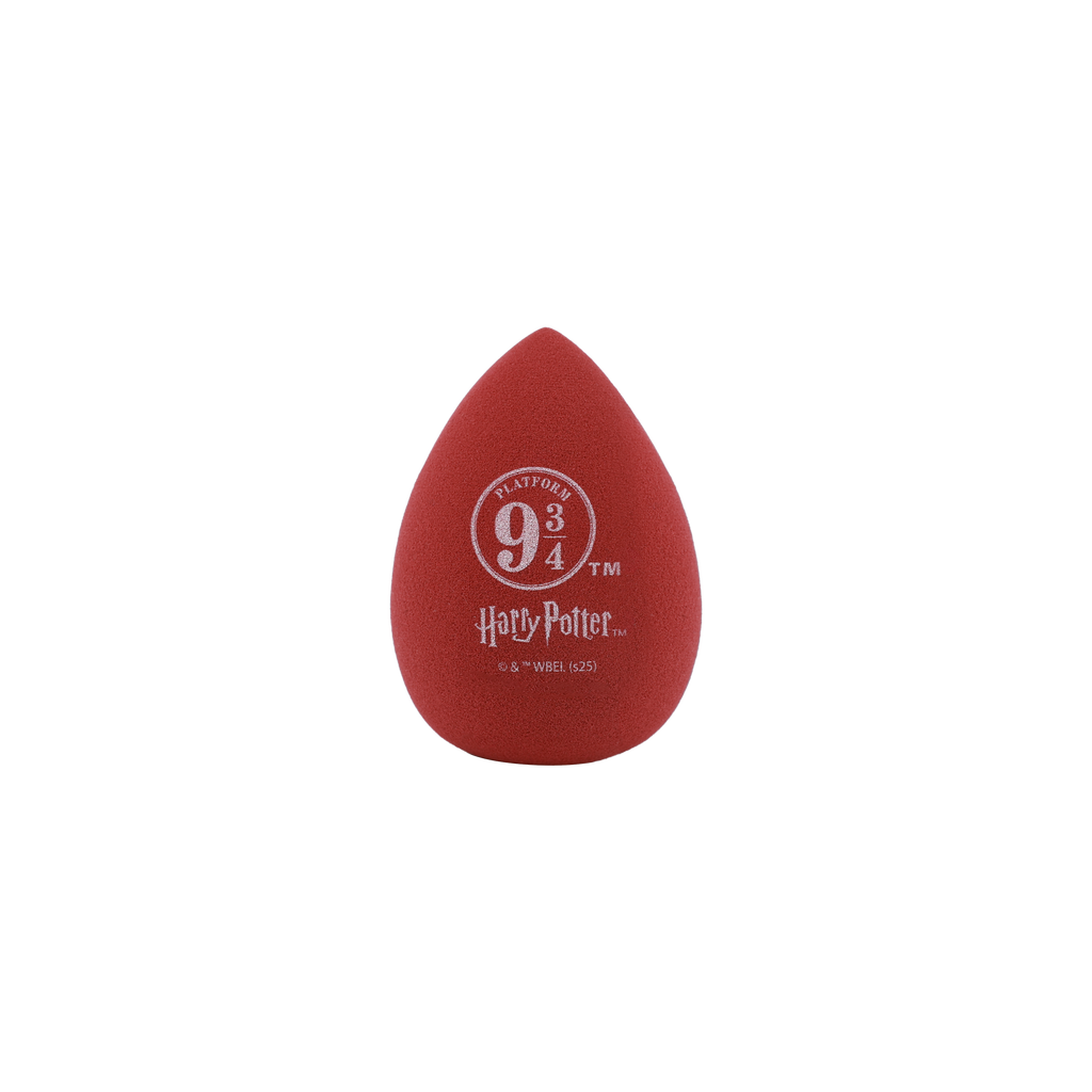 Harry Potter Holiday | Hogwarts™ Express Sponge Set
