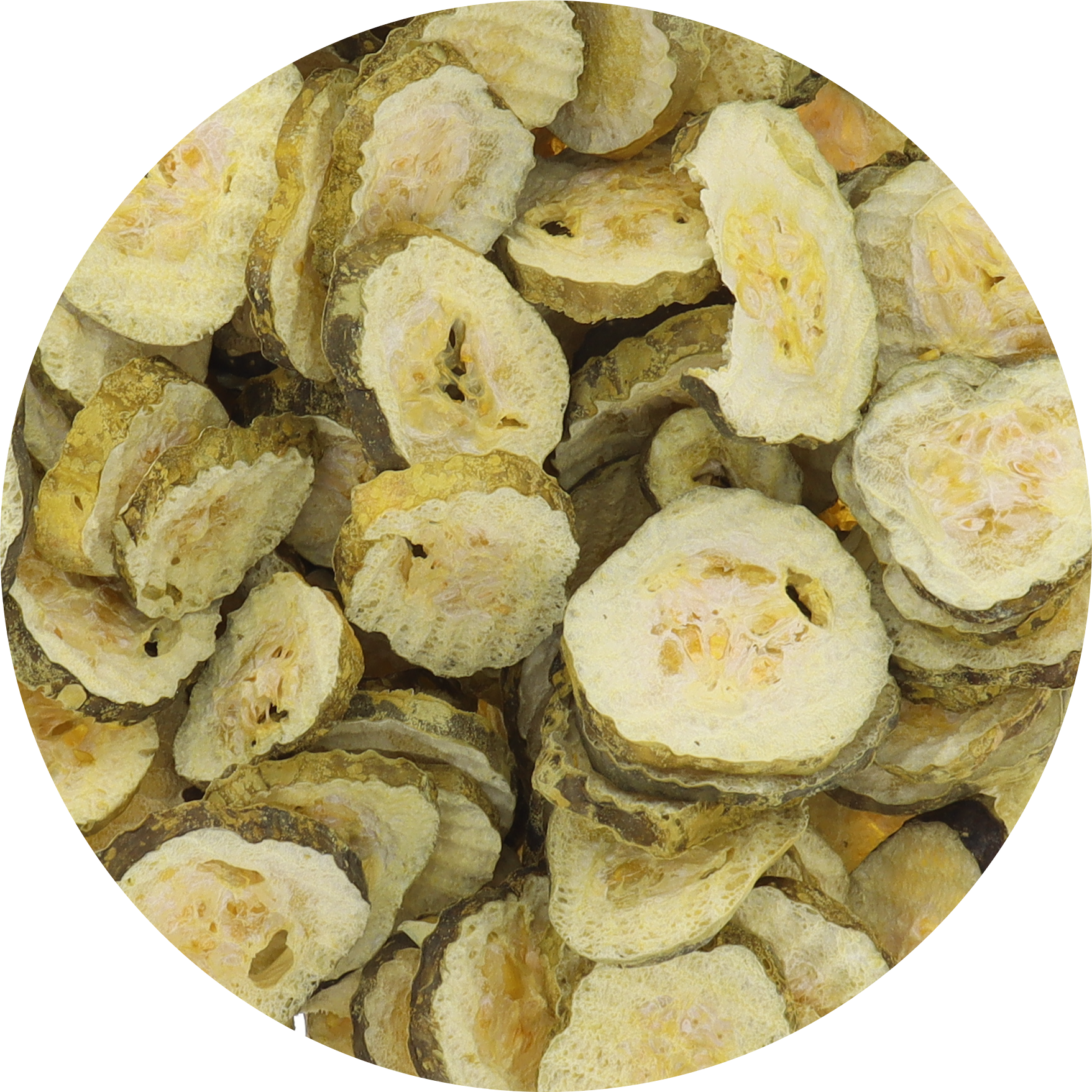 Freeze Dried Kosher Dill Pickle Jumbo Chips (Can be Salty)