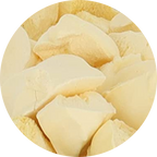 Freeze Dried Ice Cream That Does Not Melt (Bits) Banana