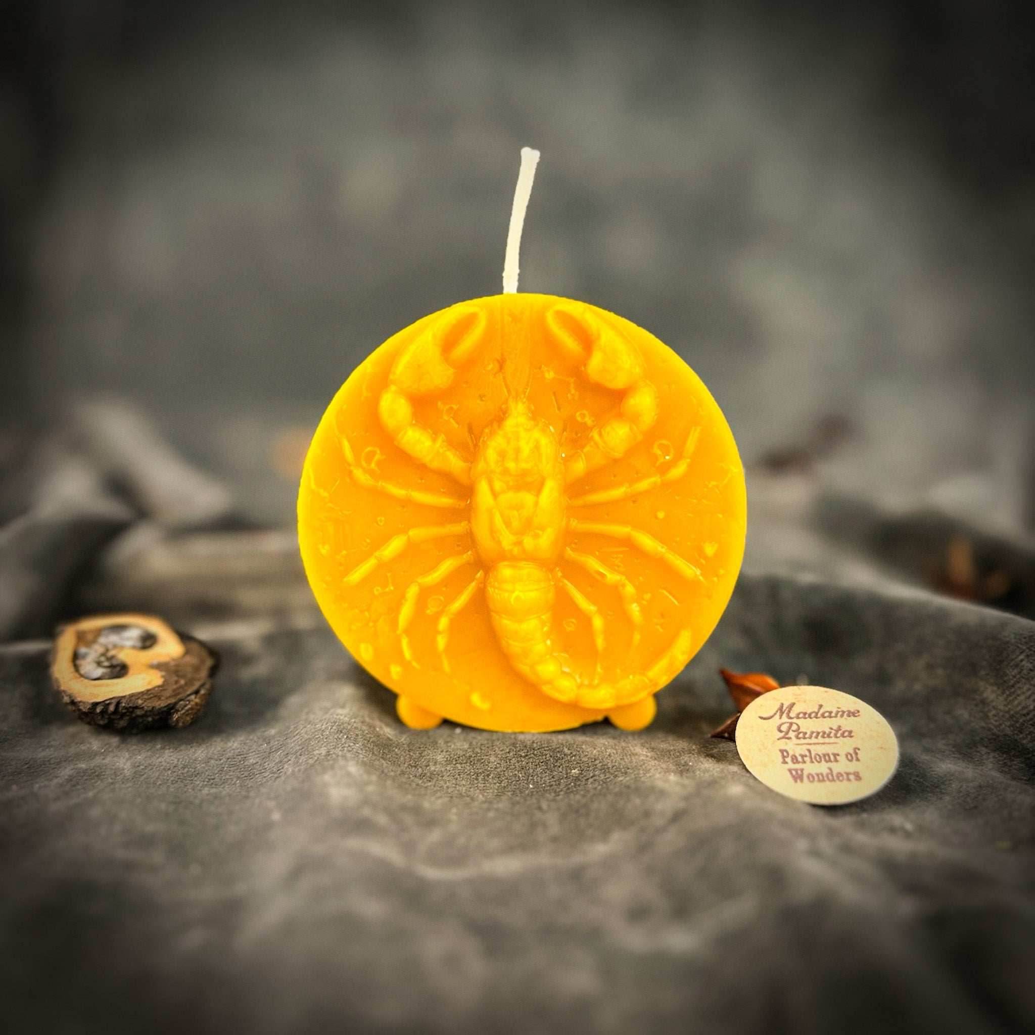Beeswax Scorpio Scorpion Zodiac Spell Candle - Yellow (Success)