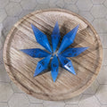 Blue Dragon