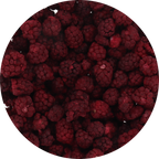 Freeze Dried Boysenberry