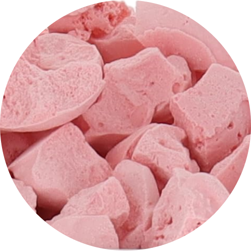 Freeze Dried Ice Cream That Does Not Melt (Bits) Bubble Gum