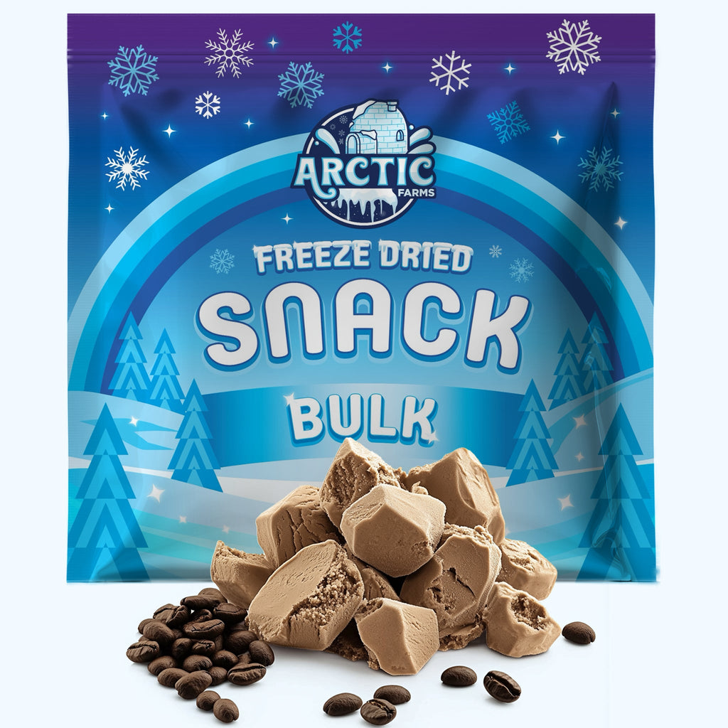 PREMIUM Freeze Dried Ice Cream * Only 5 Ingredients *