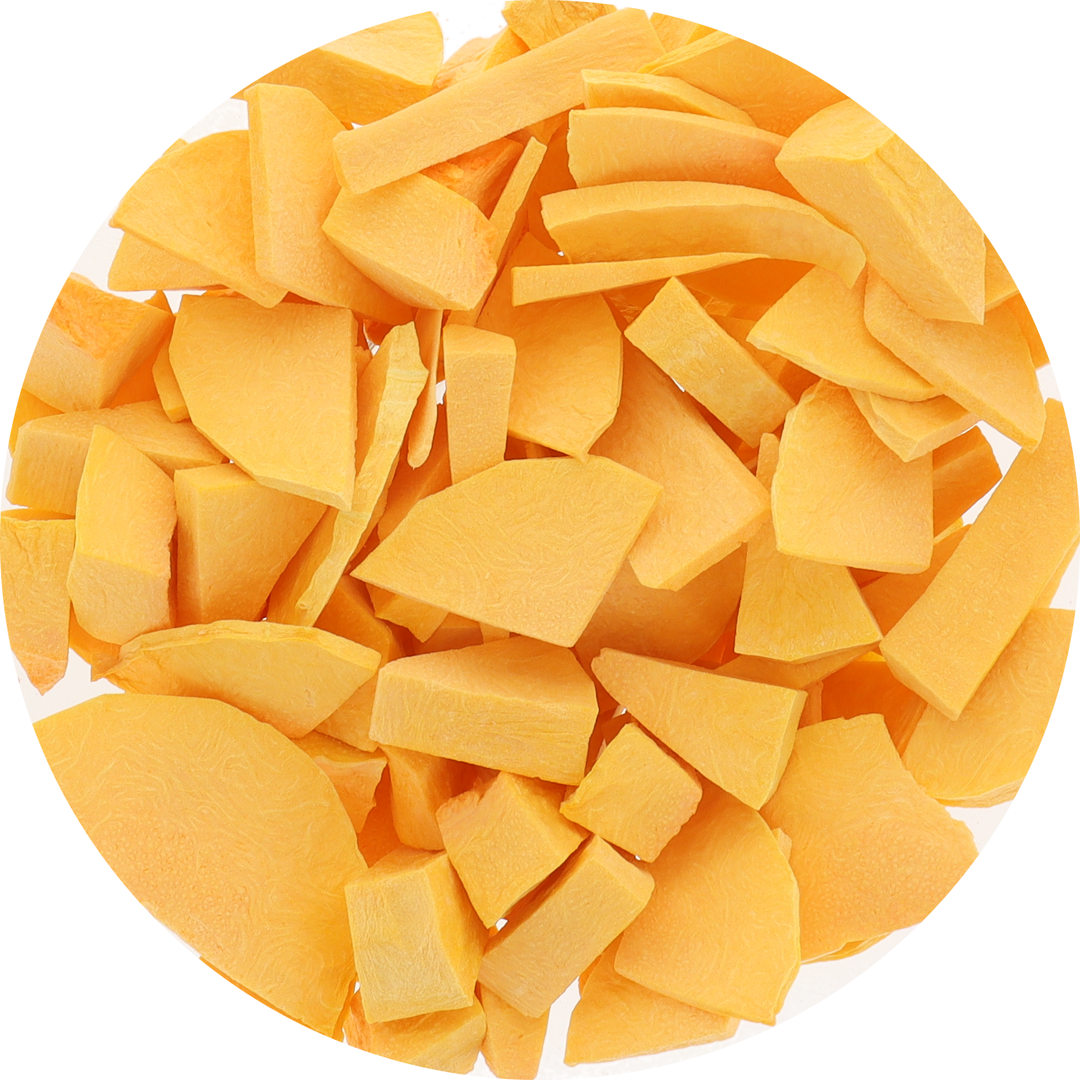 Freeze Dried Butternut Squash