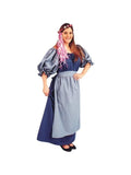 Adult Deluxe Renaissance Lady Costume