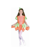 Child's Pumpkin Princess Costume