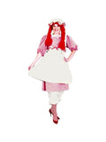 Adult Raggedy Girl Costume