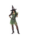 Adult Punk Rocker Witch Costume
