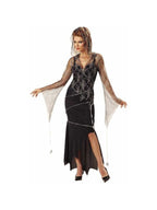 Adult Spider Goddess Witch Costume
