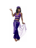 Adult Purple Belly Dancer Costume
