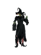 Adult Tattered Witch Costume