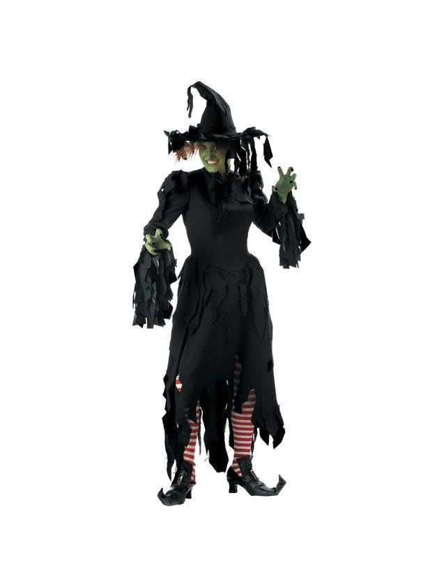 Adult Tattered Witch Costume