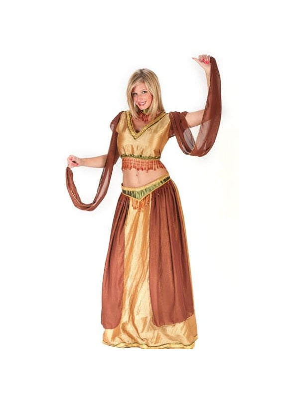 Adult Sexy Belly Dancer Girl Costume