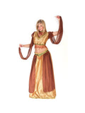Adult Sexy Belly Dancer Girl Costume
