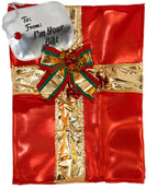Adult Standard Gift Box Costume