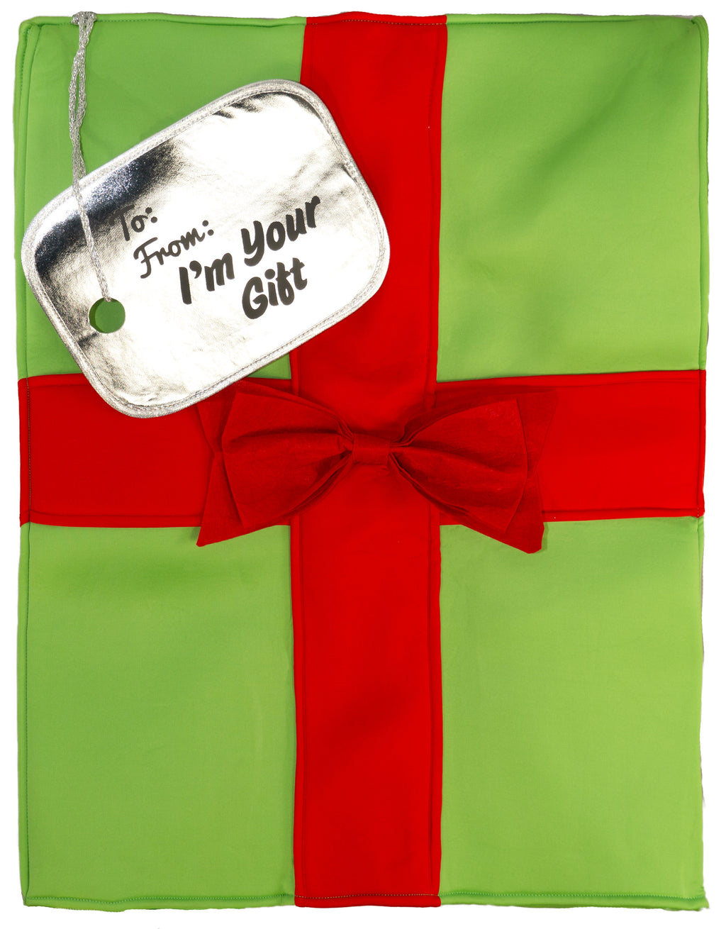 Adult Standard Gift Box Costume