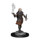Critical Role: Pallid Elf Rogue and Bard Male - 