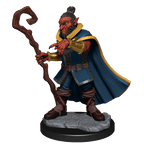 Critical Role: Hobgoblin Wizard and Druid Male - 