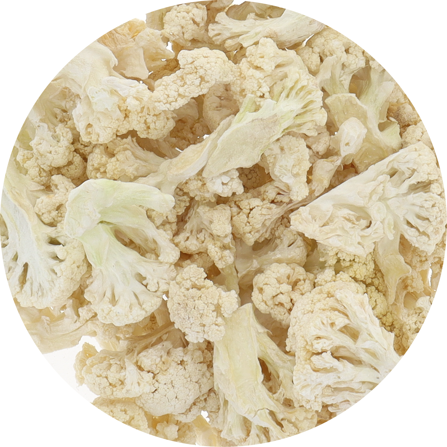 Freeze Dried Cauliflower