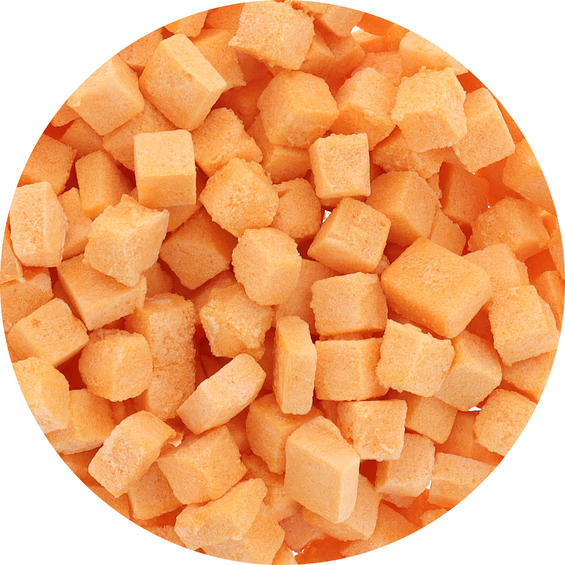 Freeze Dried Cantaloupe Melon