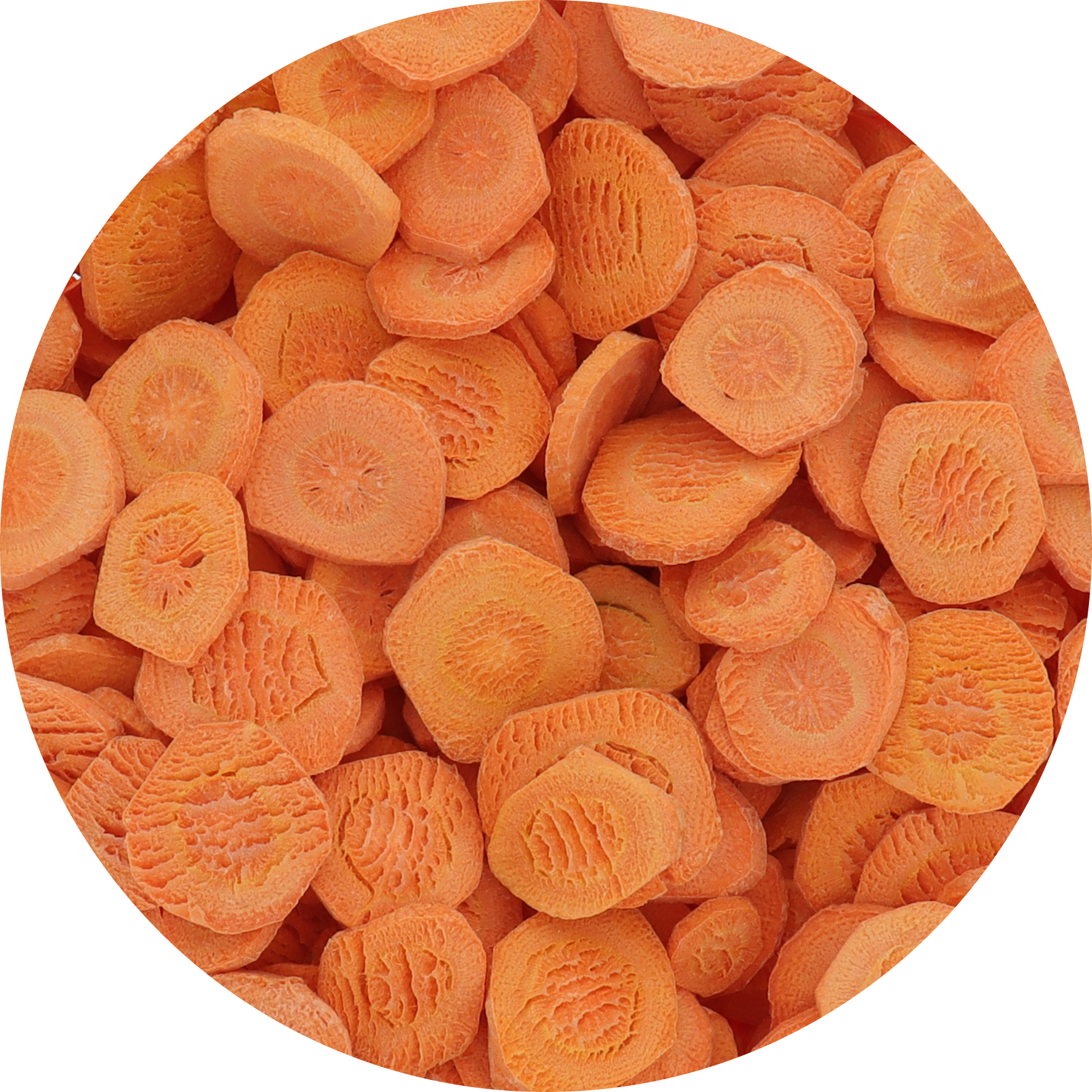 Freeze Dried Carrot Chips