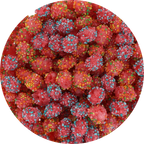 Freeze Dried Crunchy Clusters