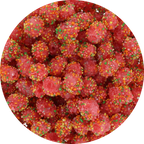 Freeze Dried Crunchy Clusters