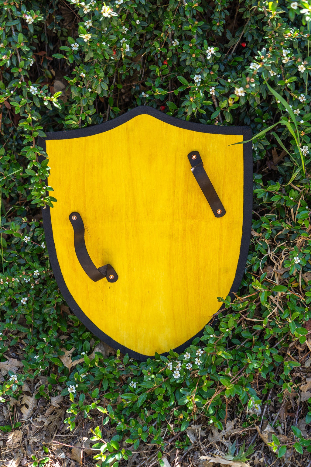 Handmade 18" Dragon Heater Shield For Costume, Play or Wall Art