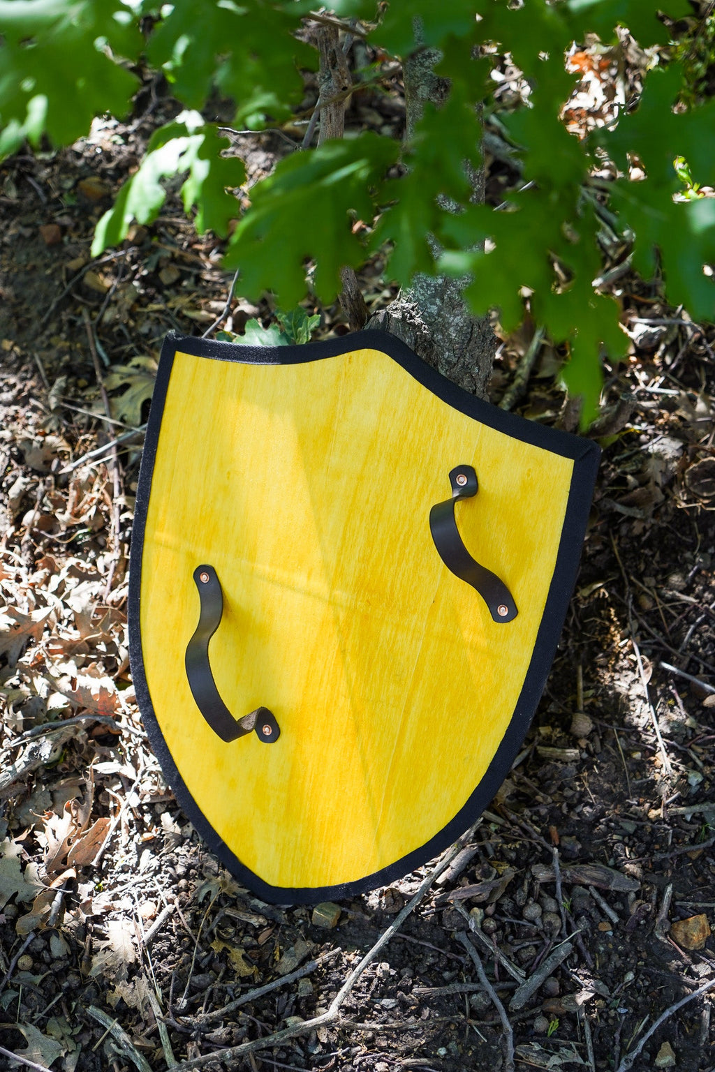 Handmade 18" Dragon Heater Shield For Costume, Play or Wall Art