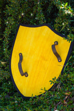 Handmade 18" Dragon Heater Shield For Costume, Play or Wall Art