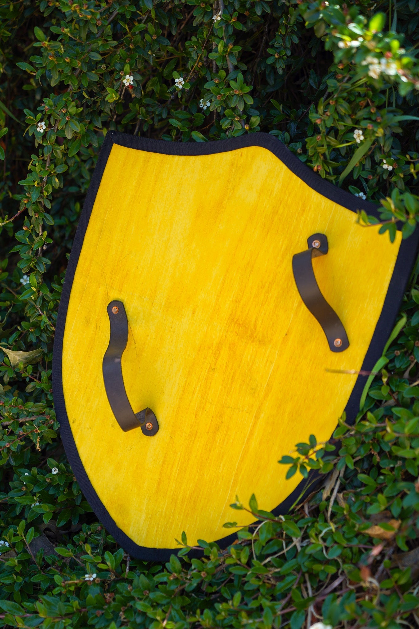 Handmade 18" Dragon Heater Shield For Costume, Play or Wall Art
