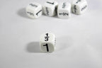 Math Fractions Dice Kids Math Dice Game 1, 1/2, 1/3, 2/3, 5/6, 1/6 - 