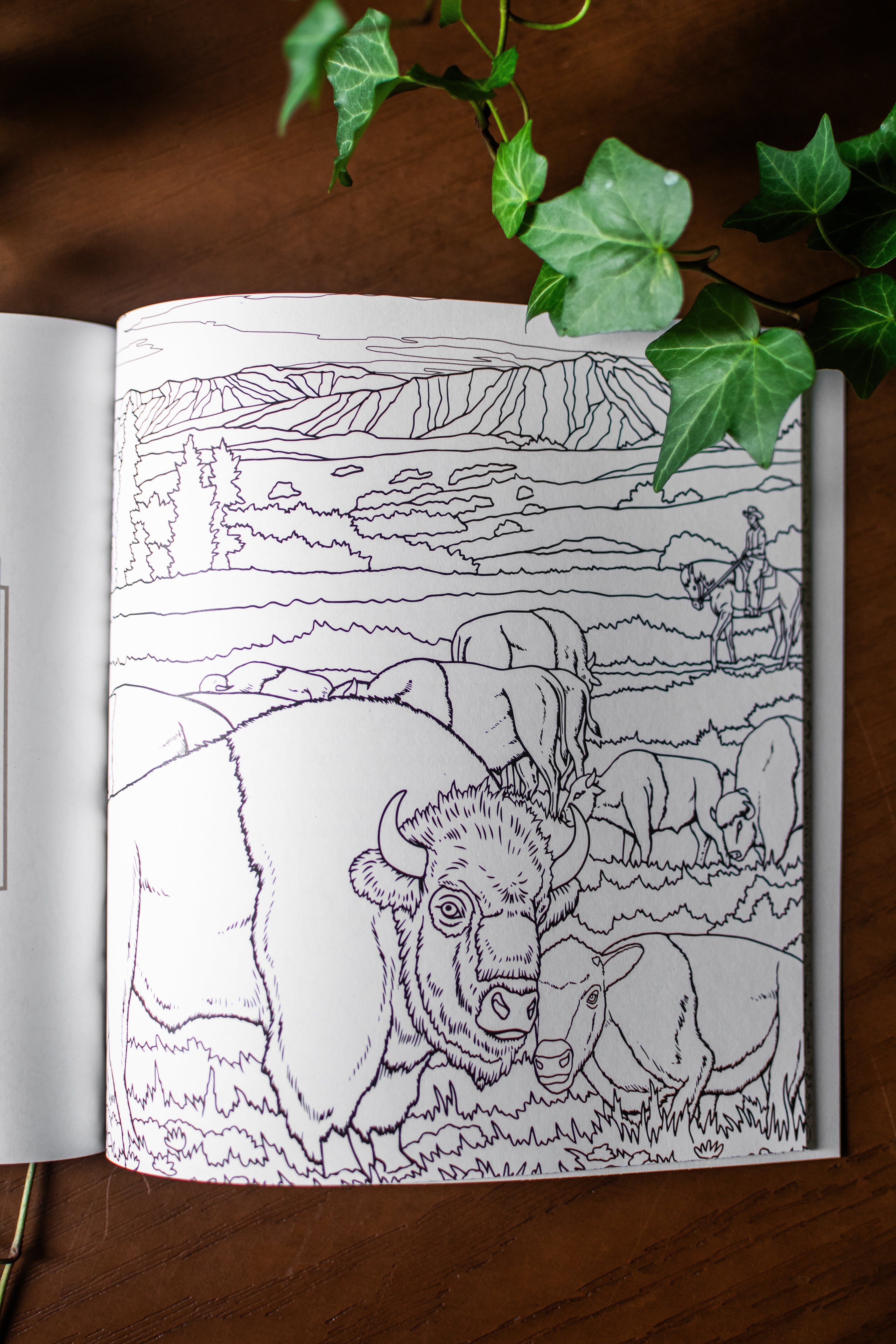 The Unofficial Yellowstone Coloring Book (Dover Adult Coloring Books)