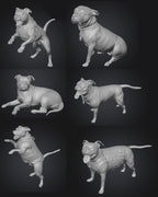 Dogs - Nora - 28mm (SLA001)
