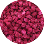 Freeze Dried Organic Dragon Fruit