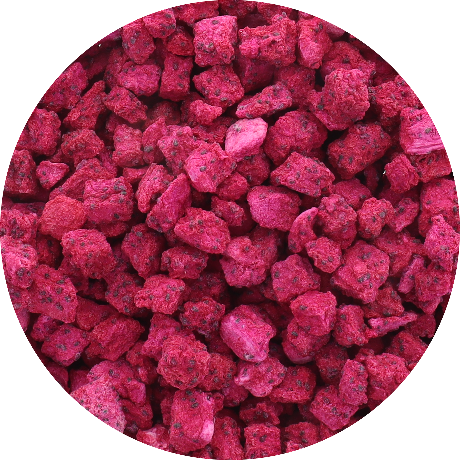 Freeze Dried Organic Dragon Fruit