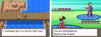 Pokemon True Soul Nintendo DS Custom ROM Hack Video Game Cartridge