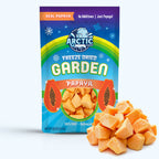 Freeze Dried Papaya