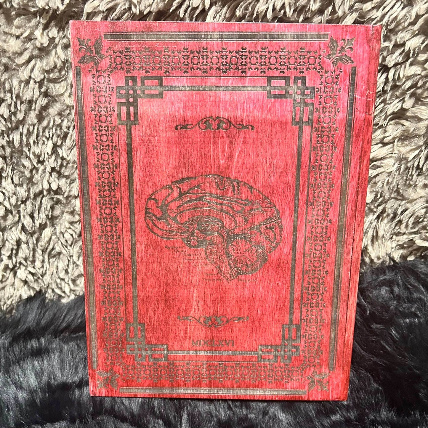 Book Box - Compendium Draconis