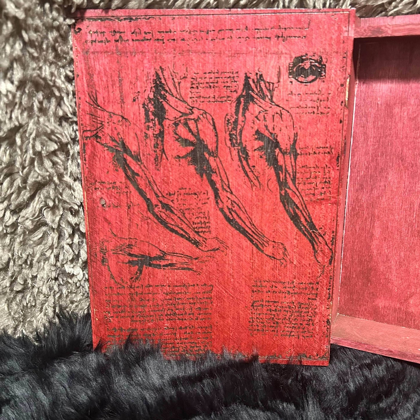 Book Box - Compendium Draconis