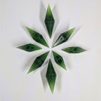 Green Dragon