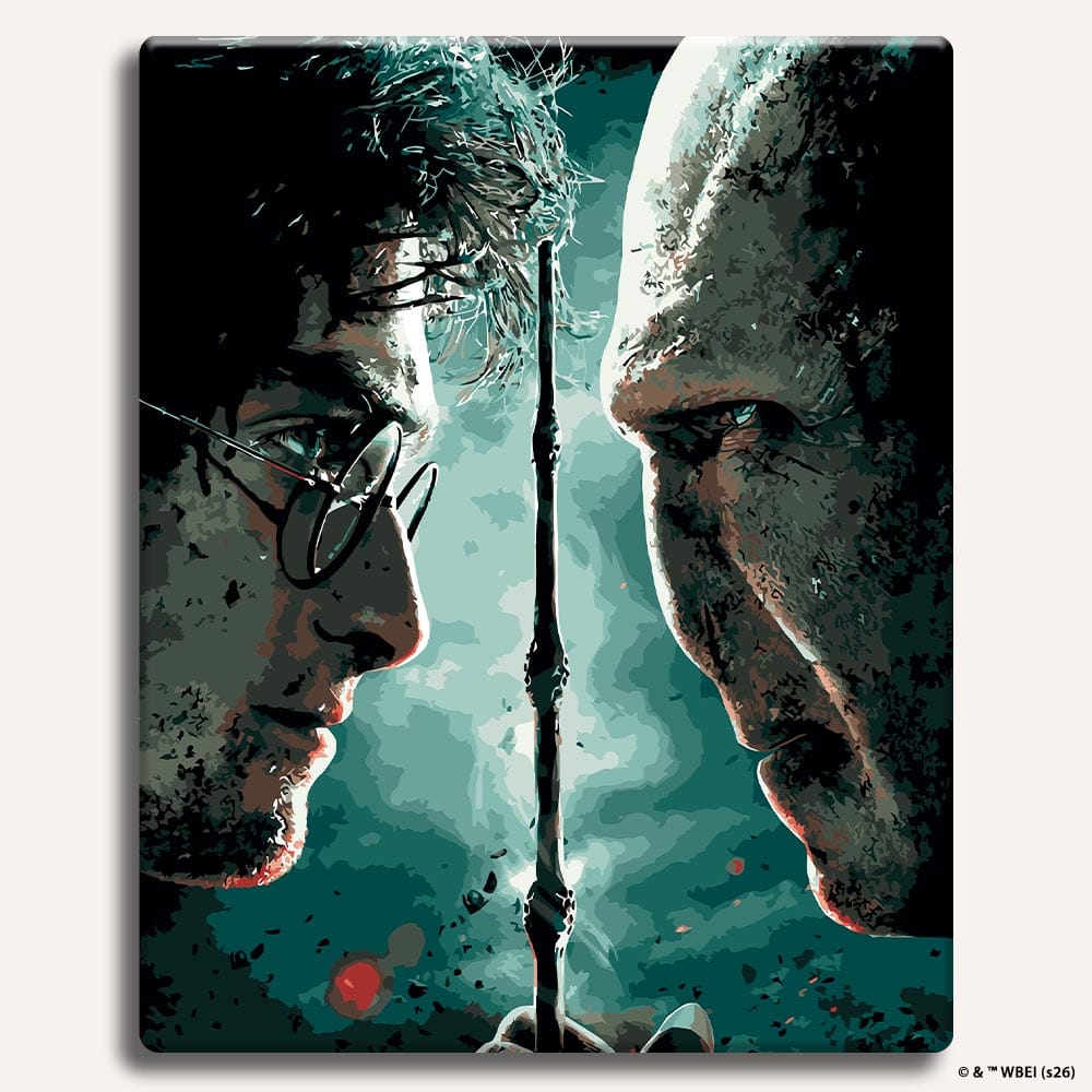 Harry vs Voldemort - Paint By Numbers Kit