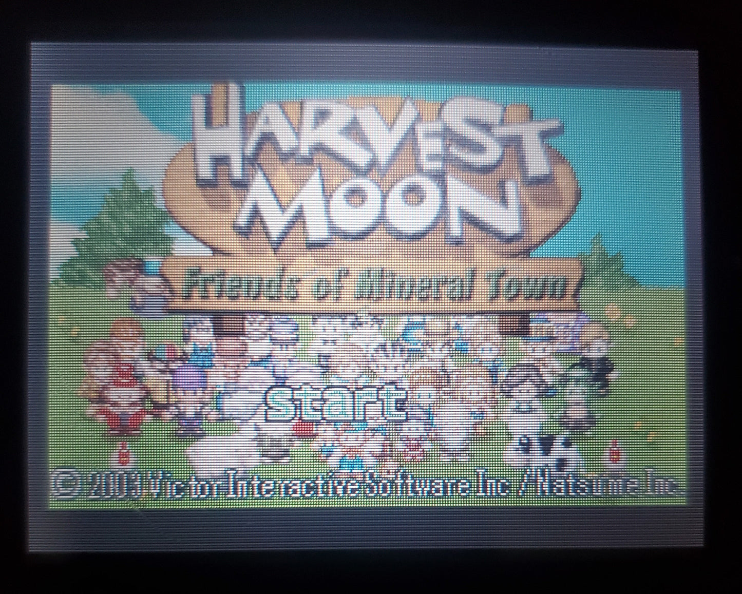 Harvest Moon Friends of Mineral Town GBA Video Game GameBoy Advance