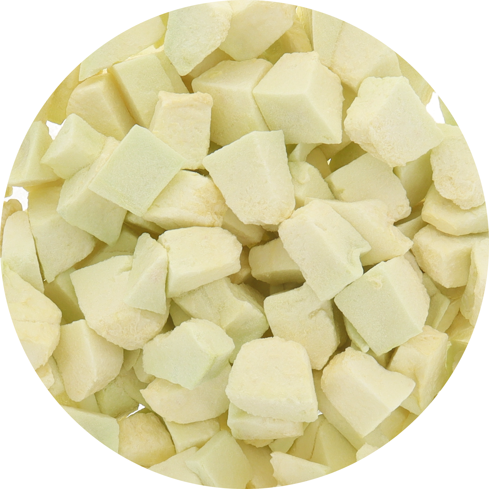 Freeze Dried Honeydew Melon