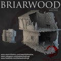 Briarwood House 2 Ruins