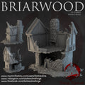 Briarwood House 3 Ruins