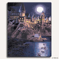 Boats To Hogwarts - Paint By Numbers Kit