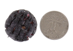 Freeze Dried Blueberries