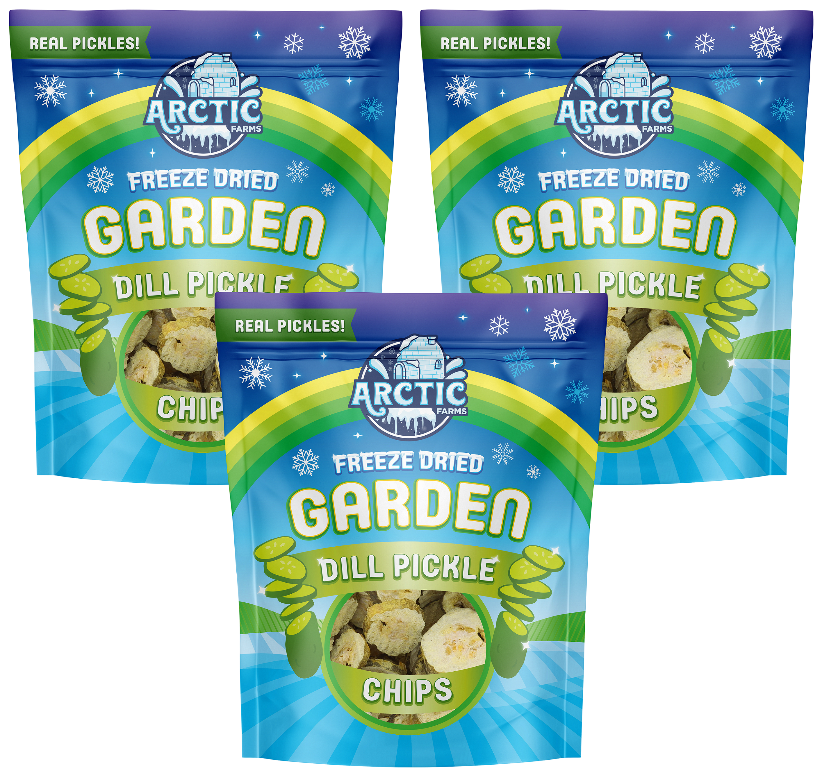 Freeze Dried Kosher Dill Pickle Jumbo Chips (Can be Salty)